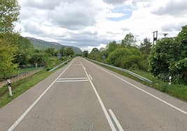 Imagen de la N-629 en el entorno de Bercedo.