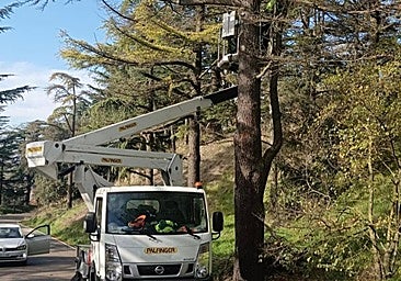 Los servicios de emergencia de Burgos reciben 122 avisos por fuego este verano