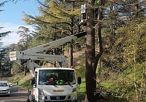 El Ayuntamiento ha realizado mejoras para evitar incendios en el Castillo
