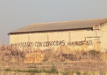 Aparecen pintadas antisionistas en naves particulares de Castrillo Mota de Judíos