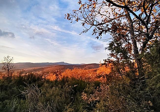 Atardecer en un monte de Burgos.