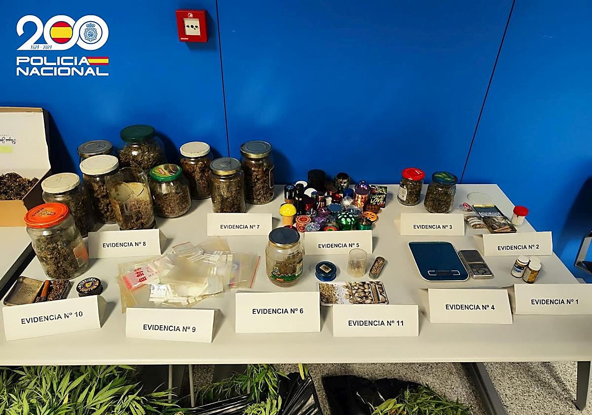 Imagen principal - Detenido en Miranda tras ser sorprendido con 2,5 kilos de marihuana en su casa