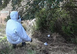 La Policía Científica en el lugar donde apareció el cadáver de Andrea Bejarano en un pueblo de Burgos.
