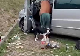 Captura de pantalla de un video que circula por las redes de este presunto maltratador de animales