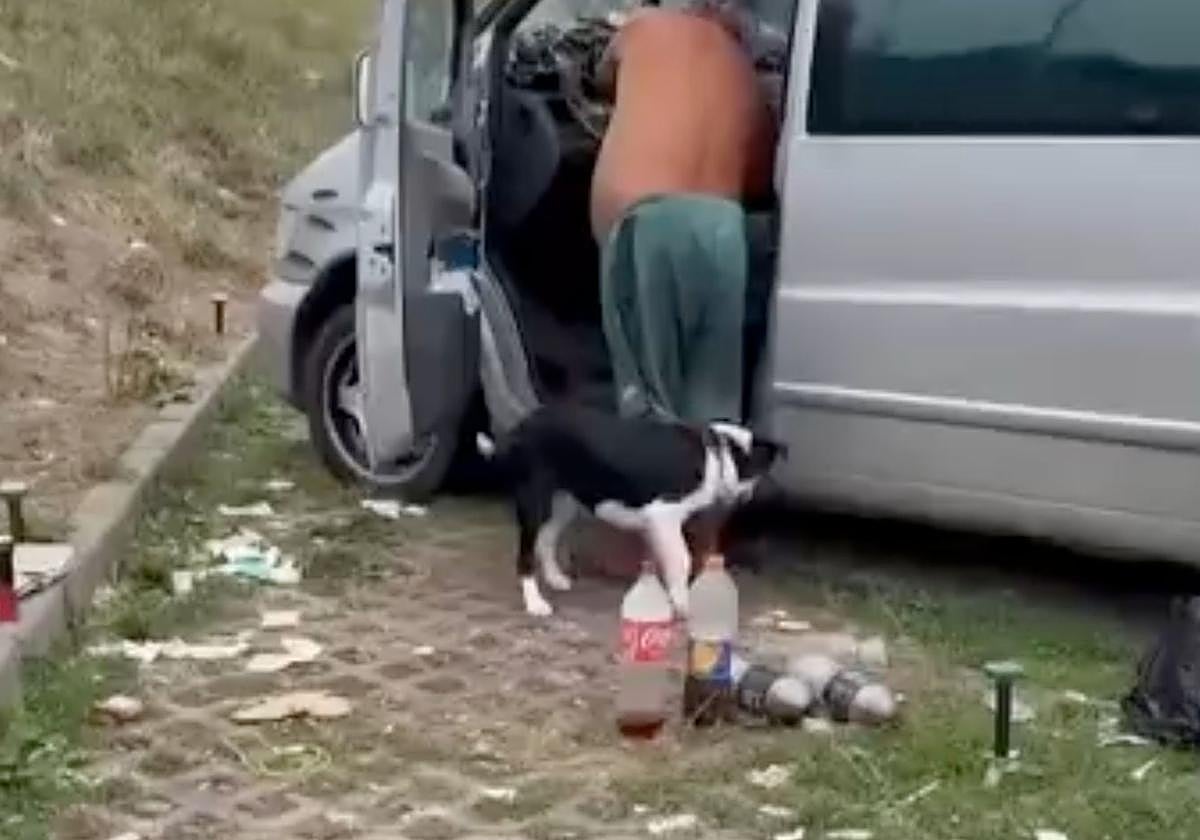 Captura de pantalla de un video que circula por las redes de este presunto maltratador de animales