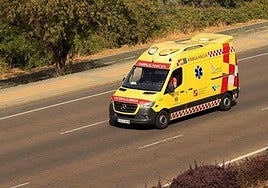 Sacyl ha enviado asistencia médica para las cuatro heridas.