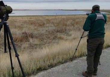Invertirán 10,4 millones para restaurar ecosistemas en 57 humedales de Castilla y León en el próximo decenio