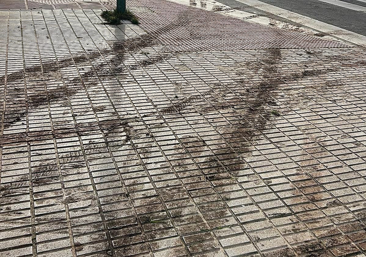 Imagen principal - Estado de las aceras y la parcela. En ocasiones los coches circulan por la acera para lograr salir si hay muchos coches aparcados. 