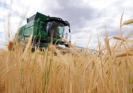 Imagen de archivo de una cosechadora.