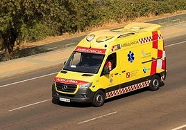 Ambulancia del Sacyl.
