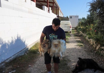Denuncian el robo de 53 perros en un centro canino de Burgos: «Se han llevado a los más valiosos»