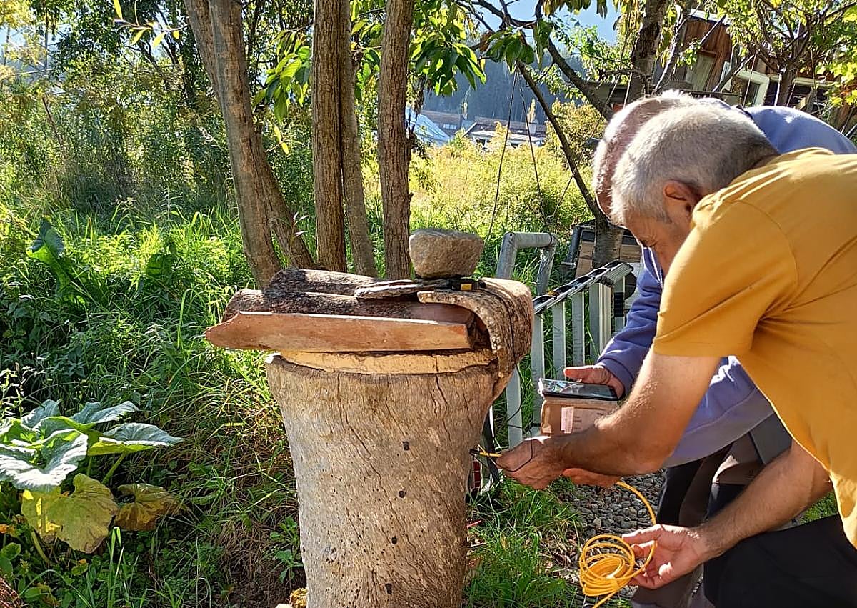 Imagen secundaria 1 - Las colmenas tradicionales de Burgos, un modelo para la innovación apícola en Europa