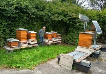 Las colmenas tradicionales de Burgos, un modelo para la innovación apícola en Europa