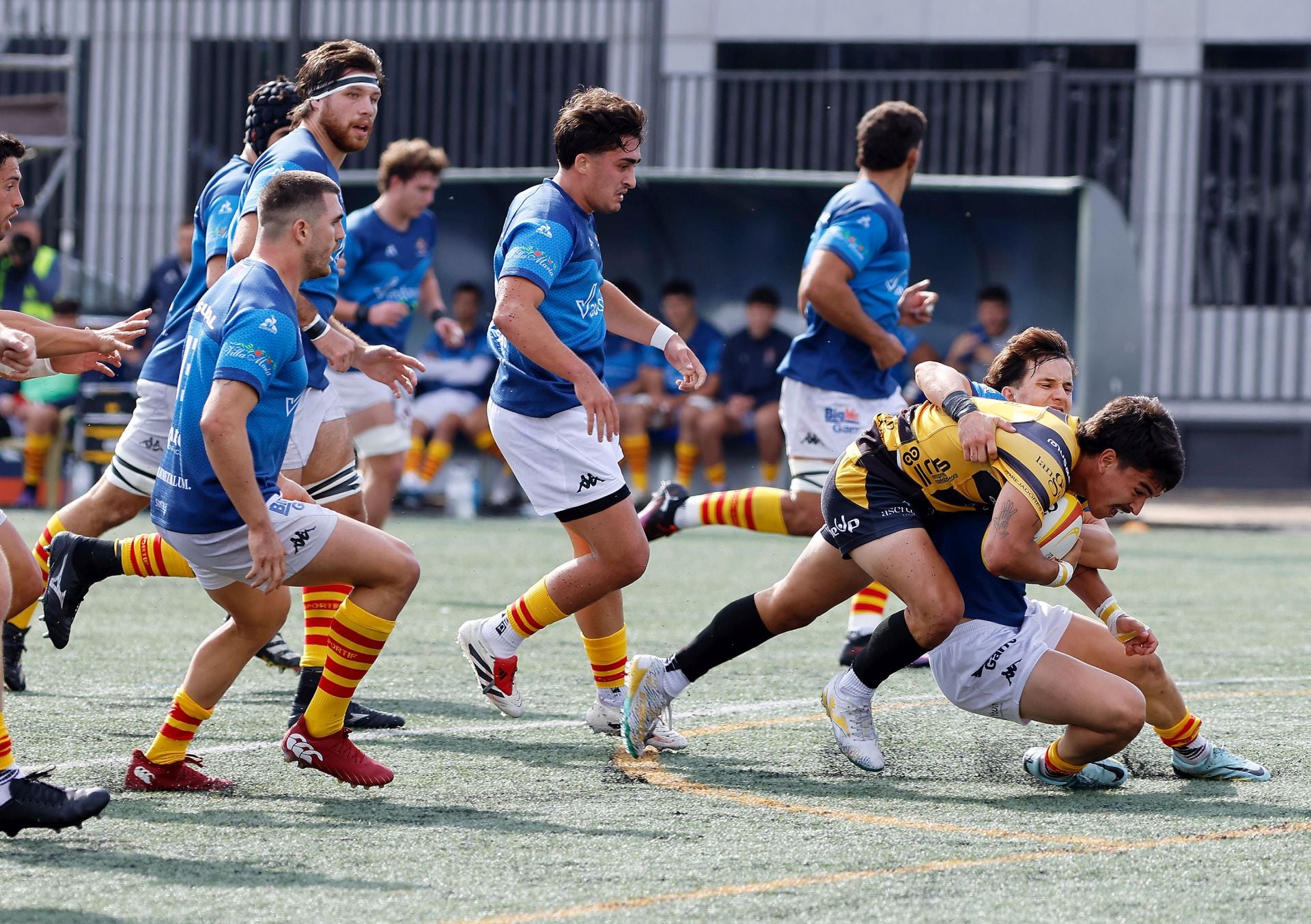 La victoria del Recoletas Burgos Caja Rural, en imágenes