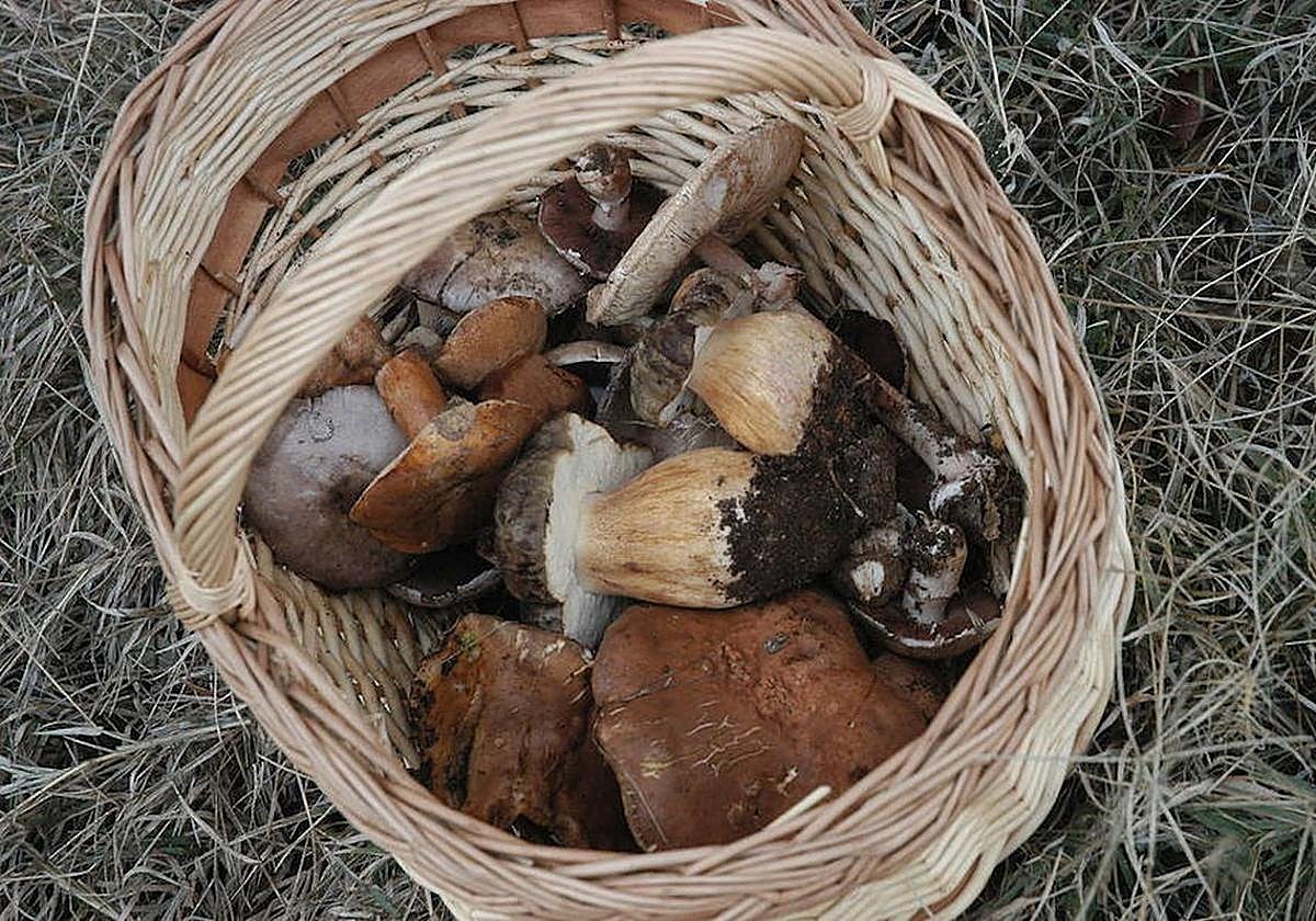 La campaña de este año ha empezado muy mal.