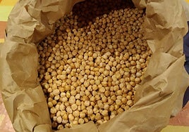 El garbanzo lareño es una de las variedades en peligro de desaparición que se han conseguido recuperar.