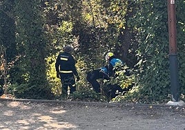 Bomberos y Policía Local trabajan para rescatar a la mujer del río en Aranda.