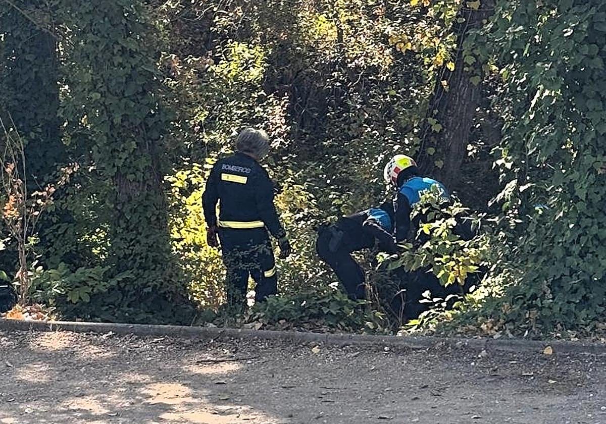 Bomberos y Policía Local trabajan para rescatar a la mujer del río en Aranda.