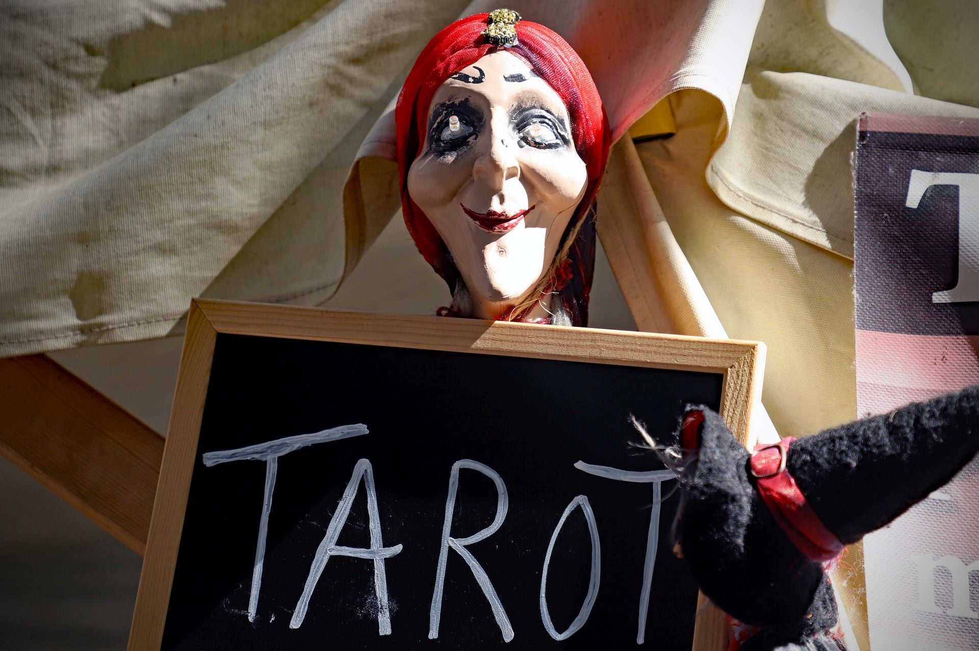 Así se ha vivido en imágenes la jornada medieval Cidiana de Burgos