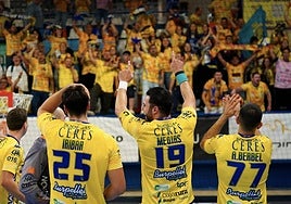 Jugadores de Tubos Aranda celebrando la victoria con la afición arandina