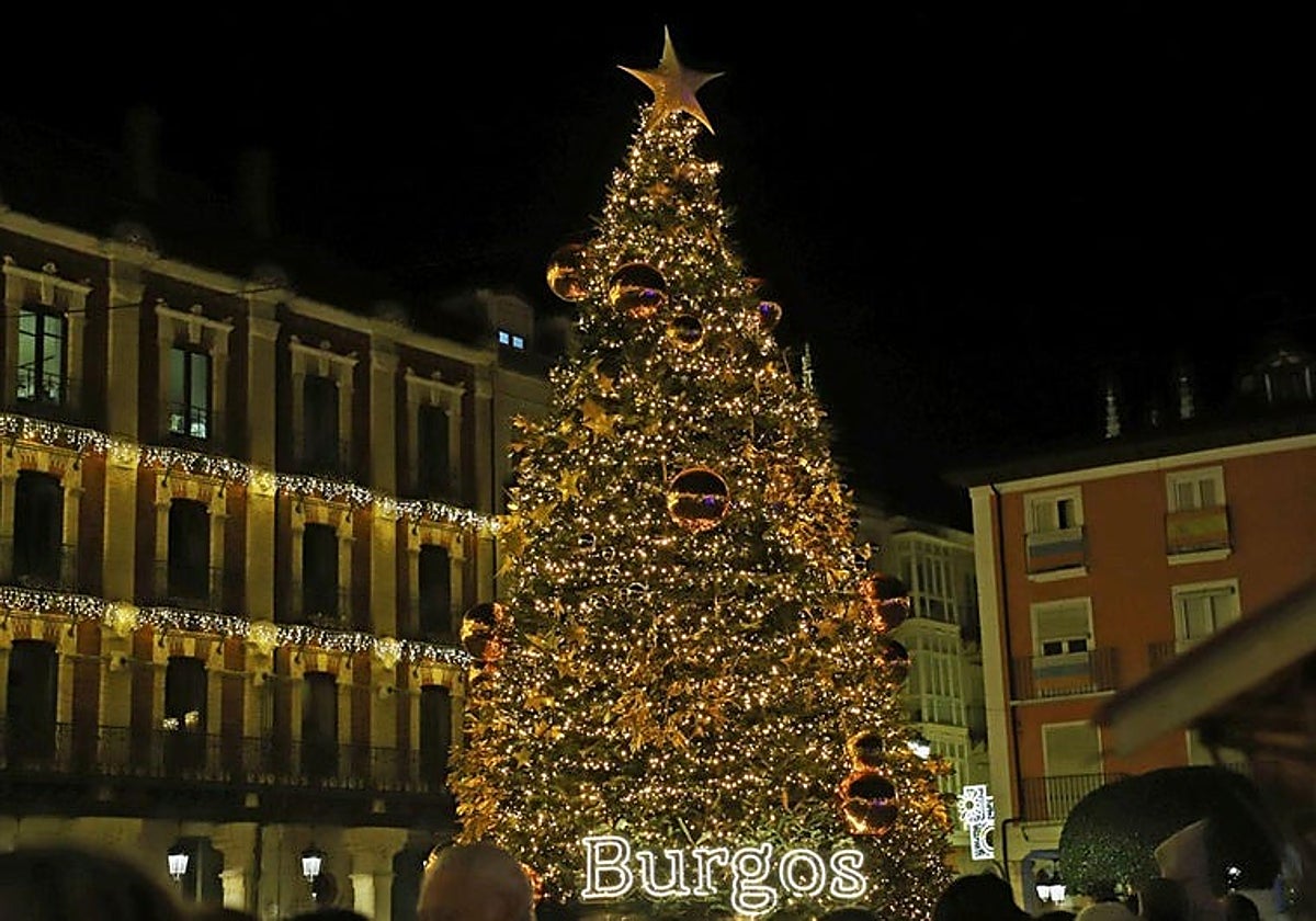 Abeto instalado el año pasado.