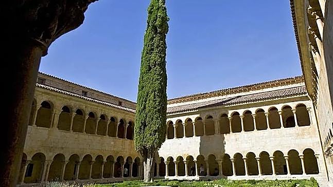 Un ciprés en el claustro de un monasterio. ¿De cuál?