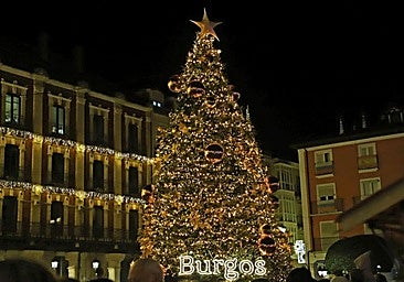 El abeto navideño de la plaza Mayor de Burgos será similar al del año pasado por su gran acogida