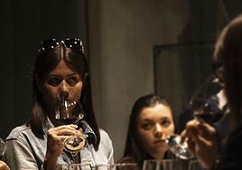 La ruta del vino Ribera del Duero, en el podio de las más visitadas.