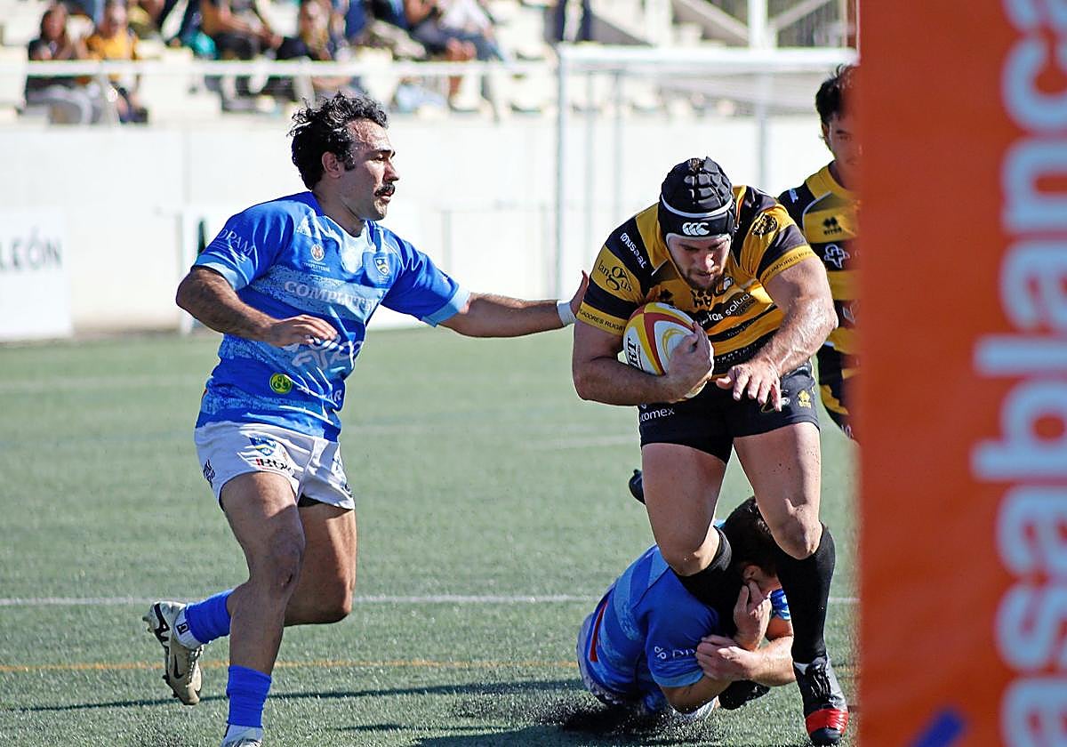 El empate entre Recoletas Burgos Caja Rural y Complutense Cisneros, en imágenes