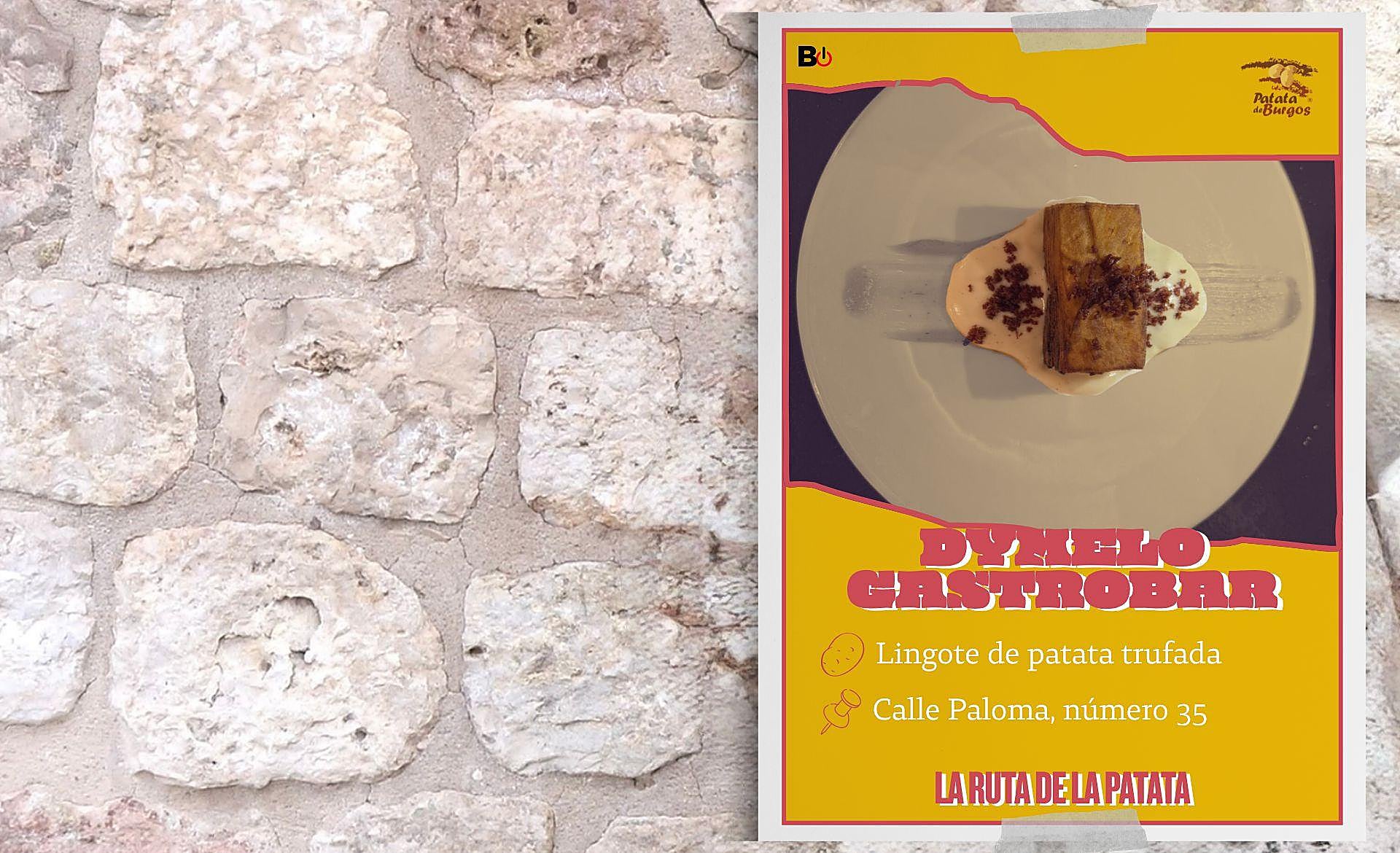 Scroll Story imagen 14