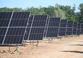 Una empresa de Burgos ejecutará por 854.000 euros la comunidad energética que unirá a 20 pueblos de la provincia