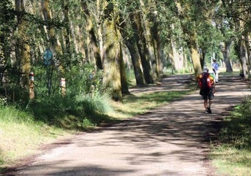 Burgos mejorará 250 hectáreas del cinturón verde de la ciudad