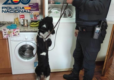 Una redada antidroga en Burgos se salda con un detenido por traficar con viagra