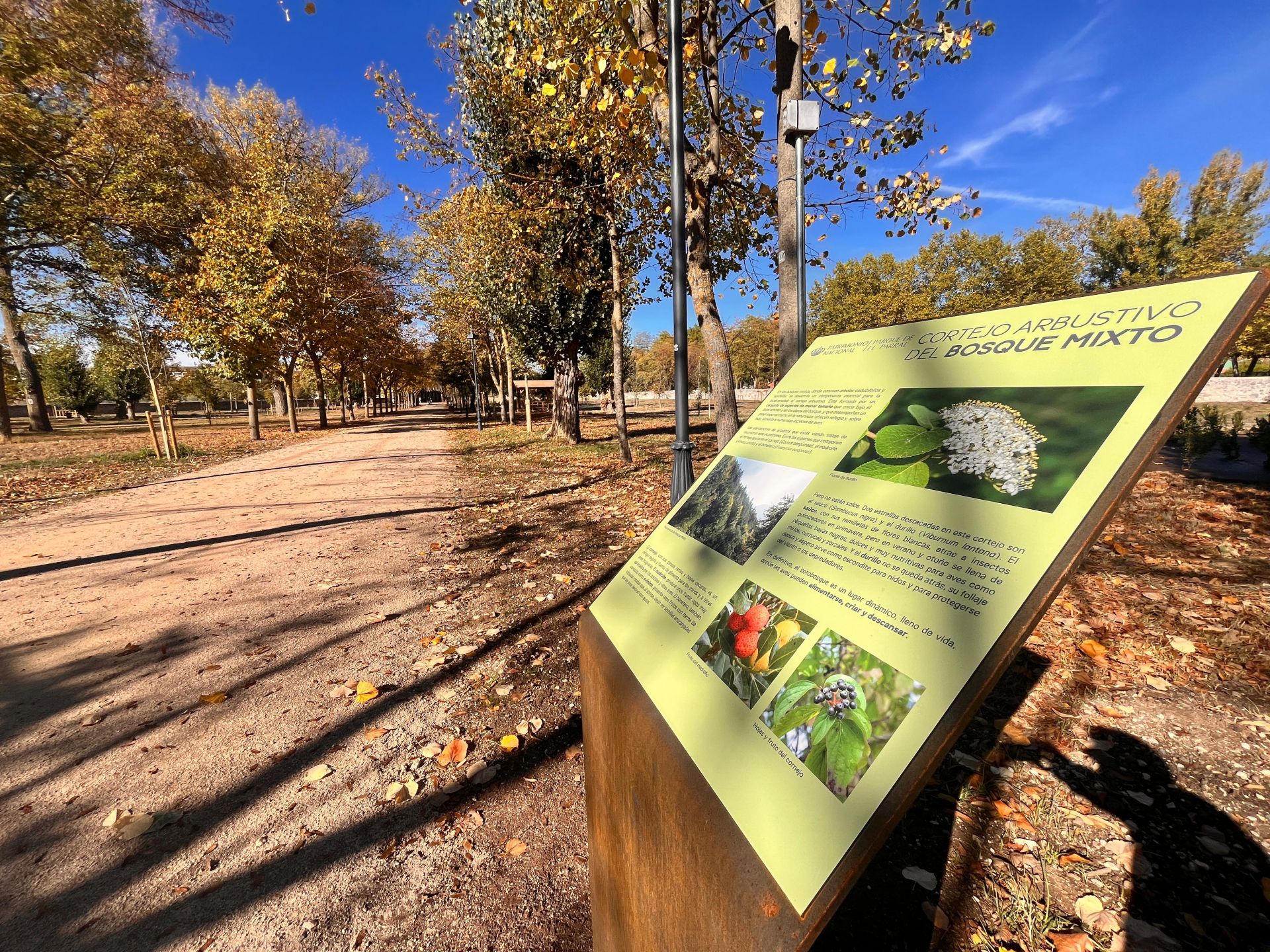 Así ha quedado el parque de El Parral en Burgos tras una remodelación de dos millones de euros
