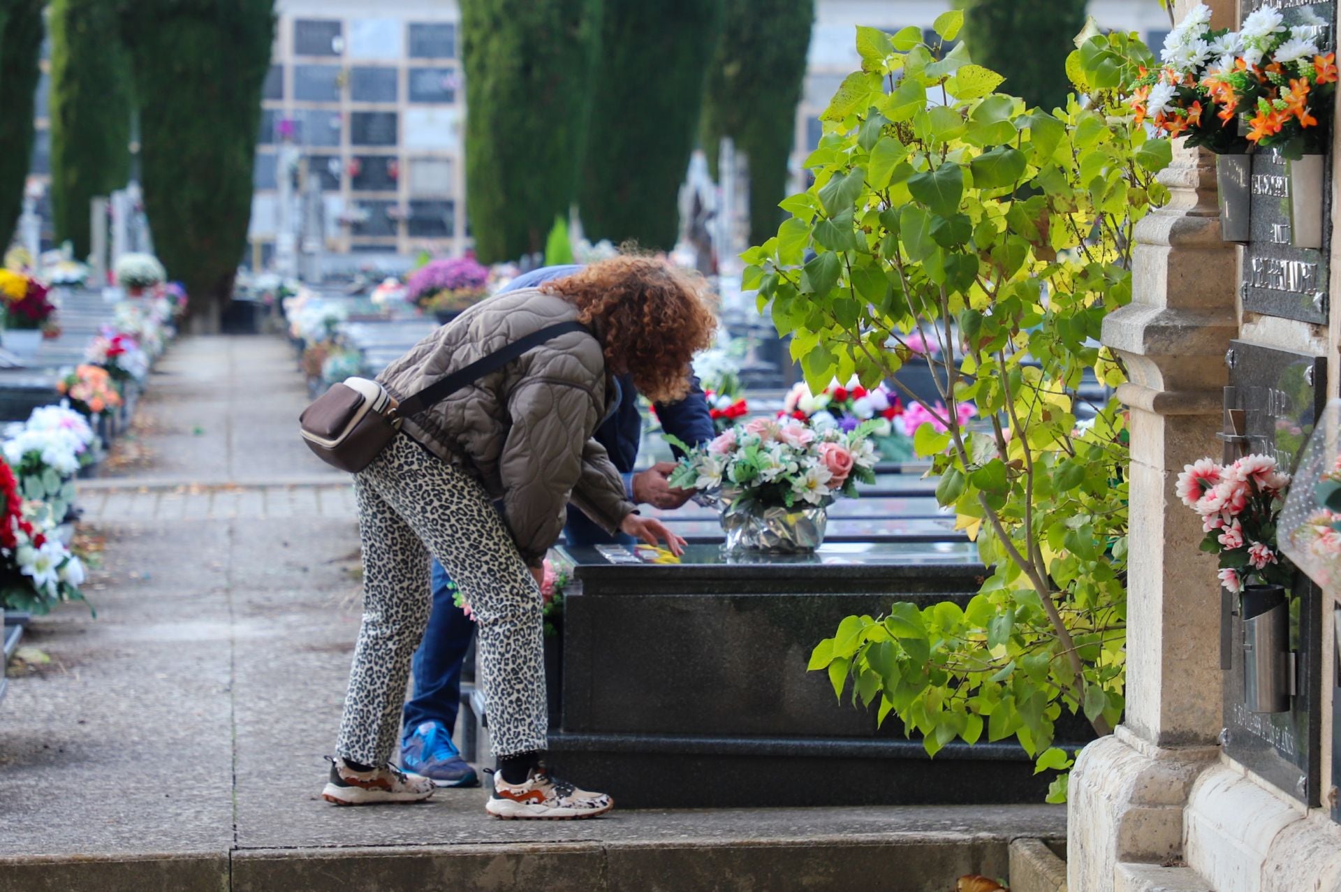 Cementerio de San José: 118 años de historia en Burgos
