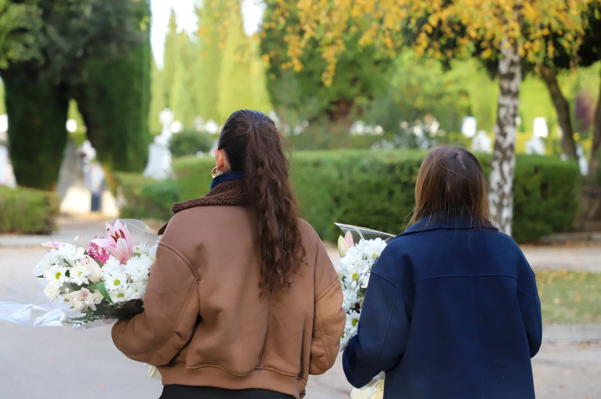 Cementerio de San José: 118 años de historia en Burgos