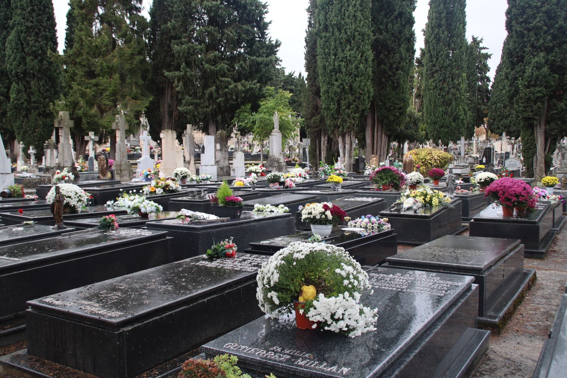 Así ha vivido Burgos el Día de Todos los Santos en imágenes
