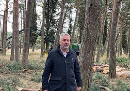 Carlos Niño, concejal de Medio Ambiente, en Fuentes Blancas durante los trabajos de clareos.