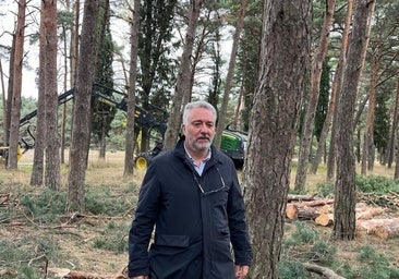 Burgos adelanta los clareos para evitar incendios en Fuentes Blancas y el Cerro de San Miguel