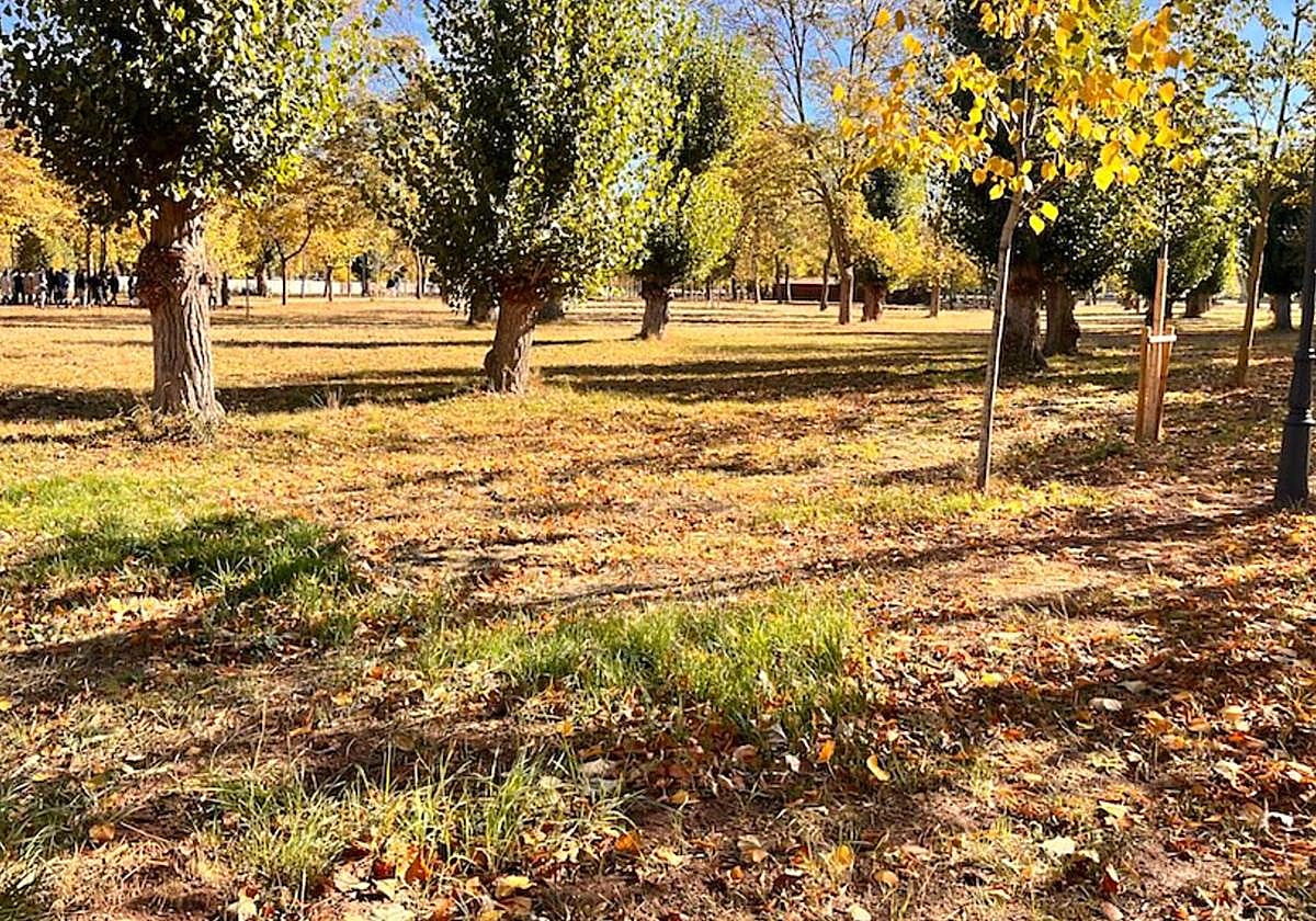 Parque de El Parral de propiedad estatal.