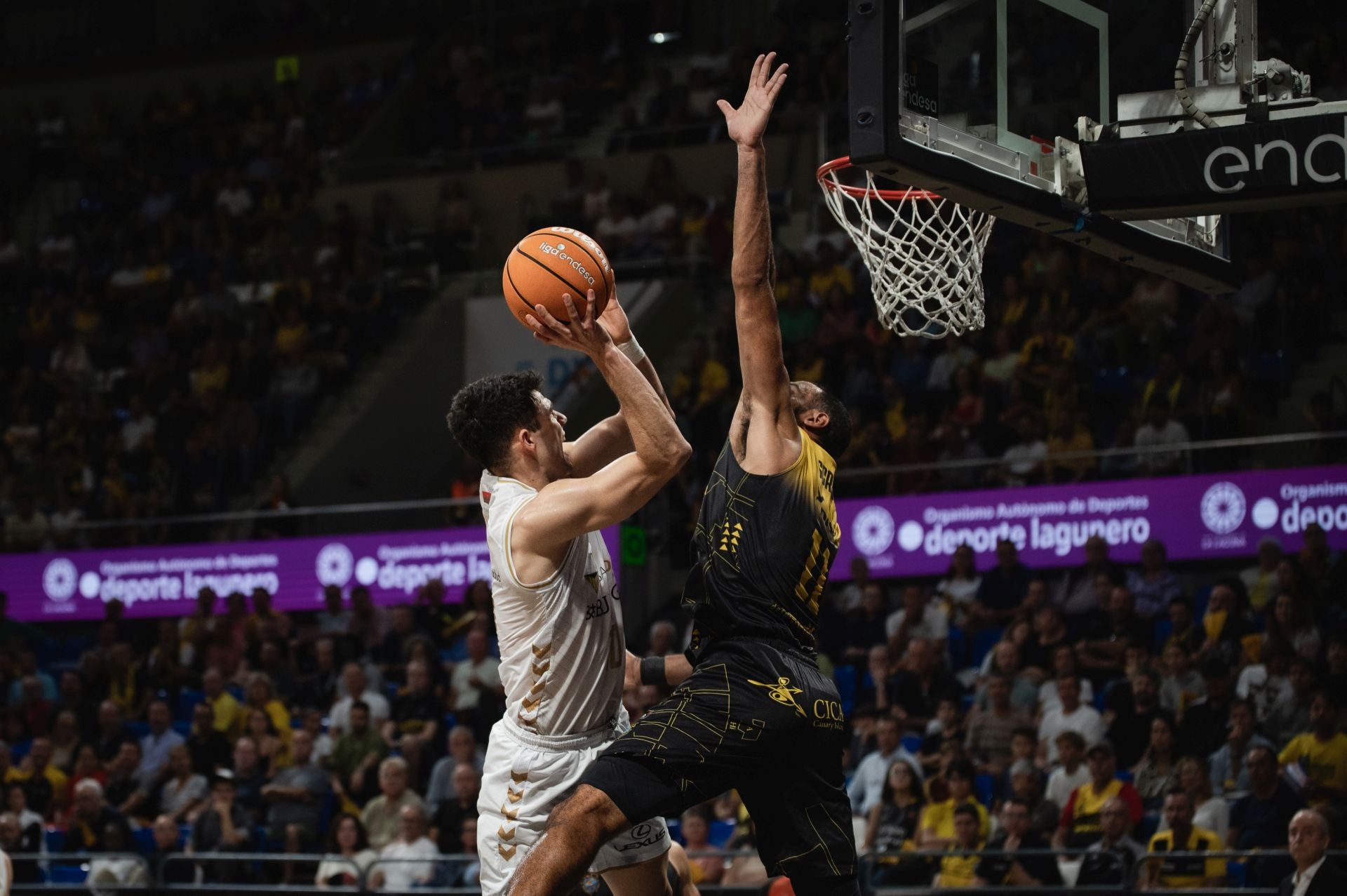 El partido entre La Laguna Tenerife y el San Pablo Burgos, en imágenes