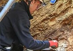 Restos humanos despellejados y cocinados: Atapuerca revela un nuevo episodio de canibalismo