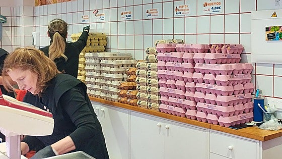 La docena de huevos, hasta 70 céntimos más cara en lo que va de año en Burgos por la gripe aviar