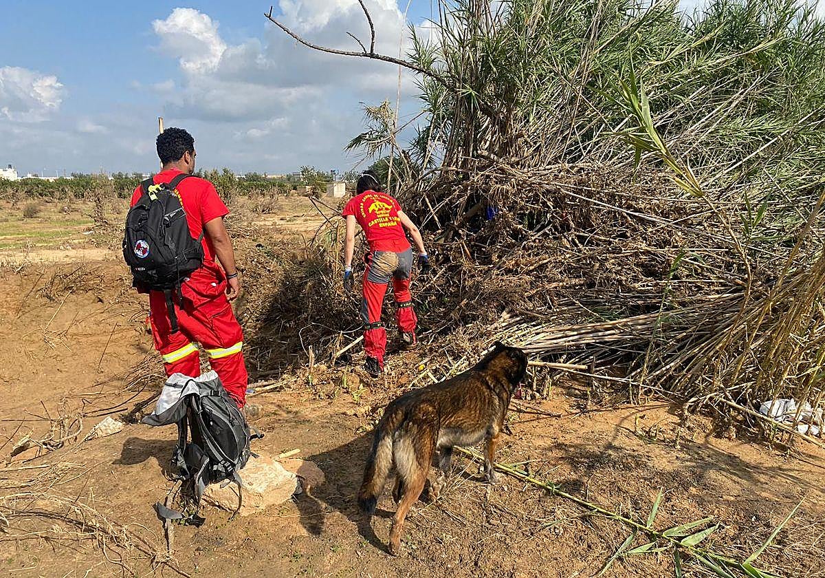 Unidad Canina de Salvamento.