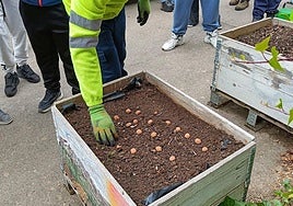 Alumnos de 3º, 4º y 5º de Primaria han elaborado bombas de semillas.