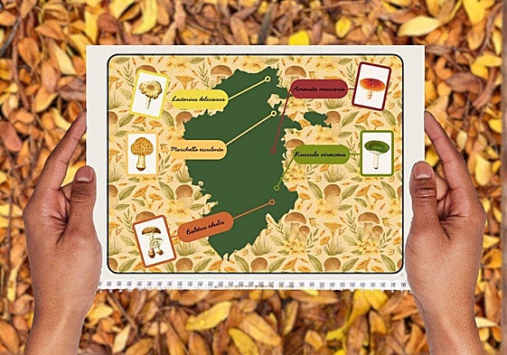 Imagen creada para representar las rutas micológicas