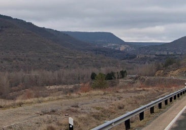 La Junta restaurará masas forestales en Sedano, Covanera y Tubilla del Agua para mejorar sus bosques