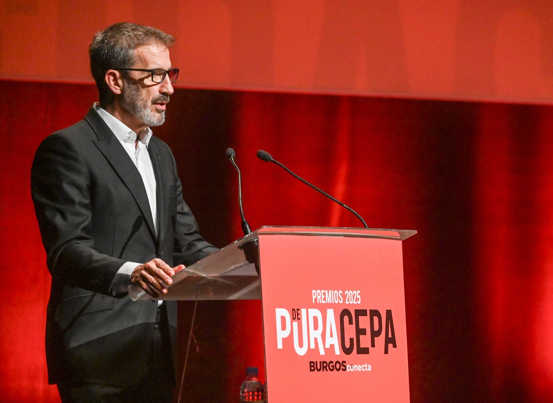 Pedro Santesteban, director de Relaciones Institucionales de Grupo Antolín, recogió el premio a Empresa del Año. 