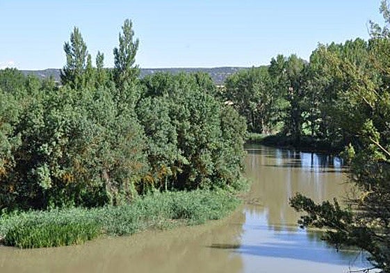 Canal de Guma.