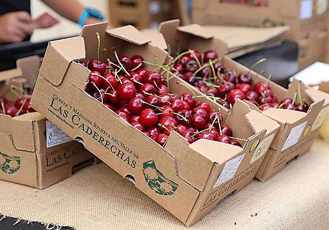 Cajas con cerezas del Valle de las Caderechas